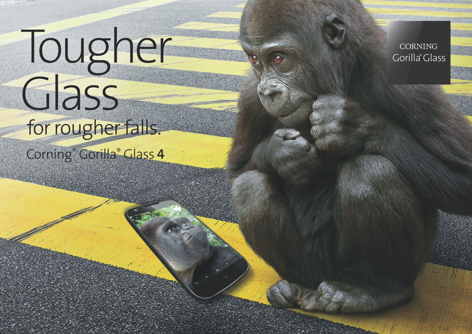 Gorilla looking at smartphone with gorilla face on it.