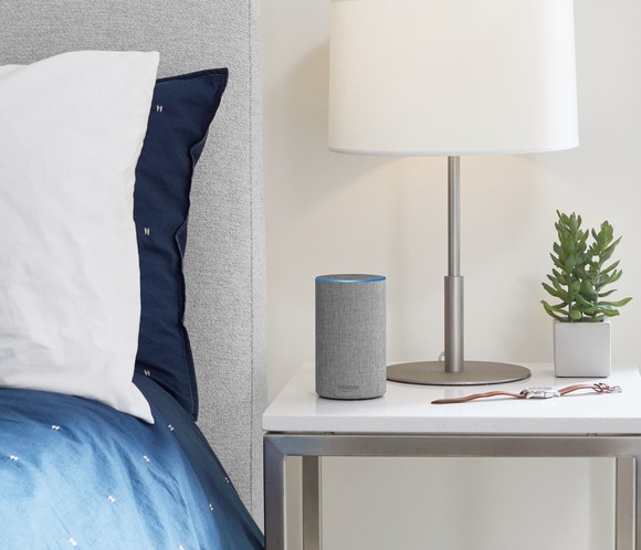 A nightstand next to bed wit blue sheets in a bedroom with a gray Amazon Echo next to a light, a watch, and a small plant.