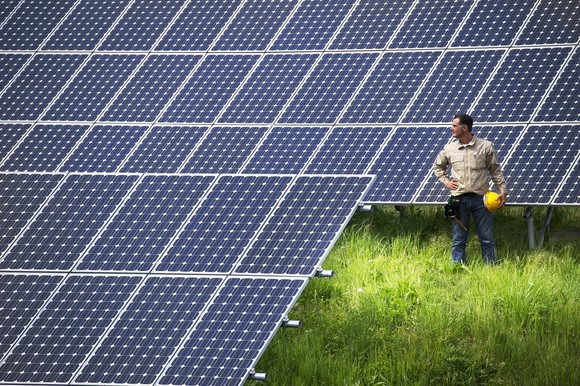 Worker looks at solar arrays in a solar farm.