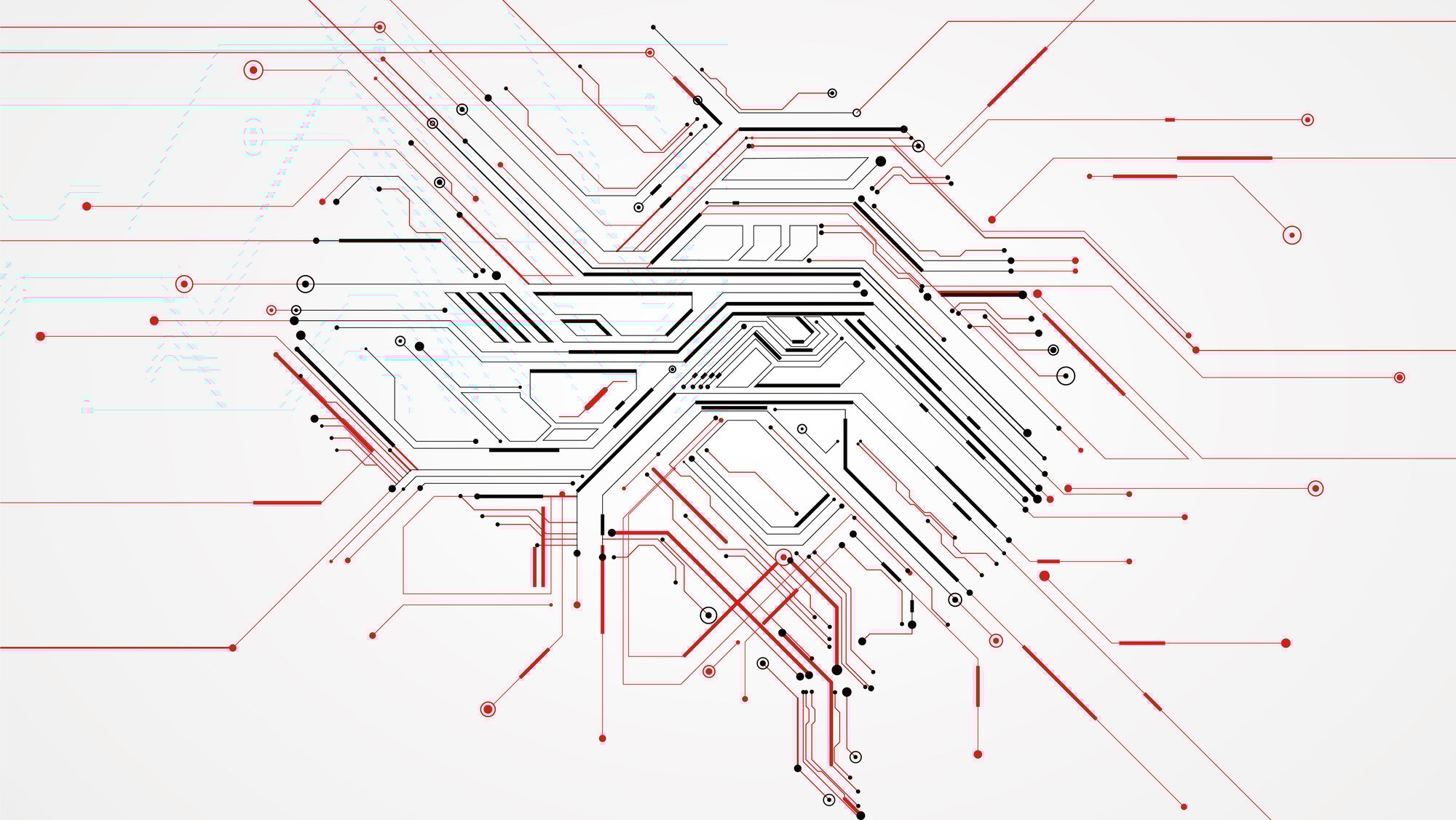 Computer circuits that form the image of a brain.