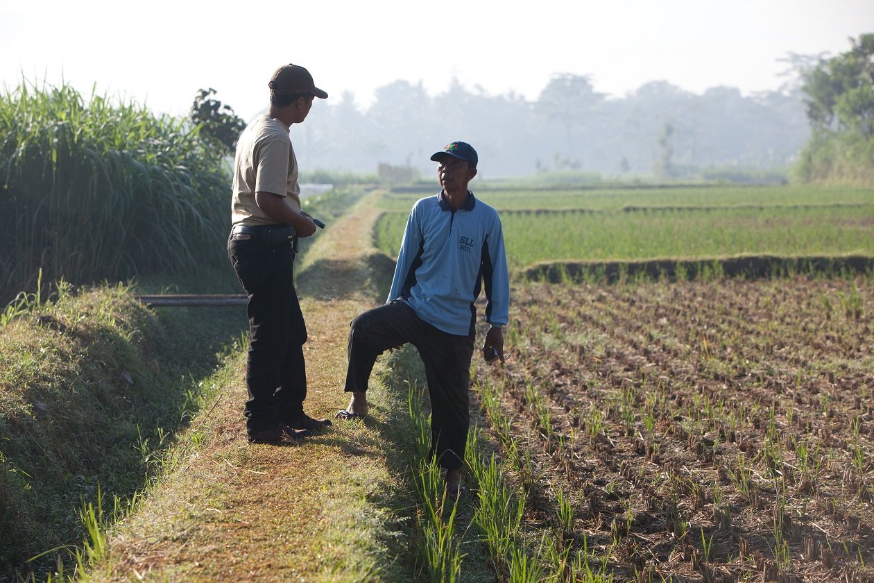Two people talking in a field with plants growing nearby