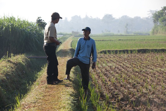 Two people talking in a field with plants growing nearby