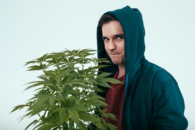 Man Holding Marijuana Plant Getty