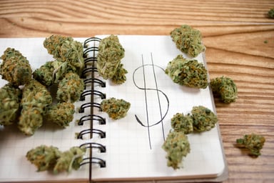 Marijuana buds with dollar sign on notepad