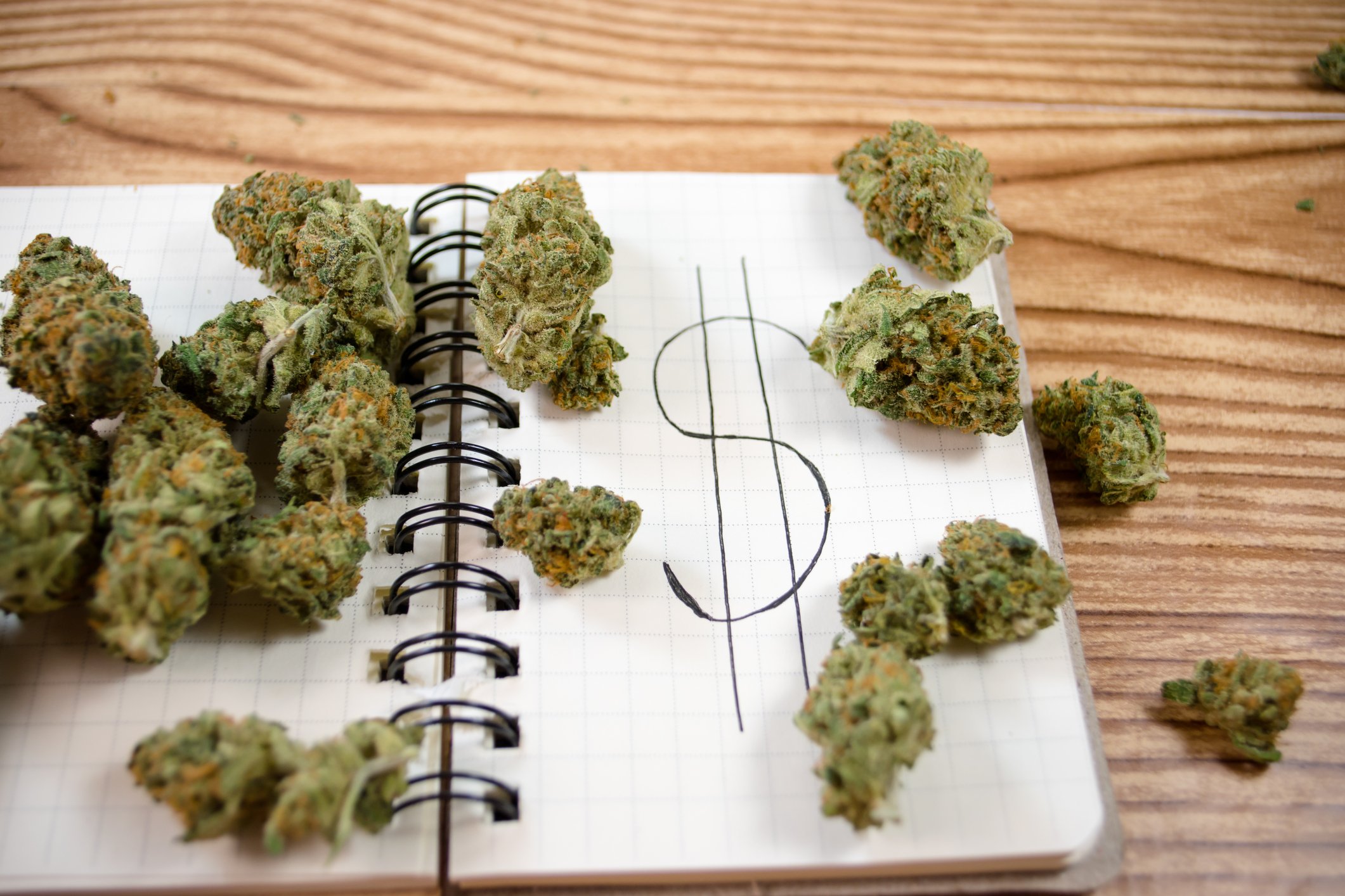 Marijuana buds on top of a notepad with a dollar sign drawn on a page