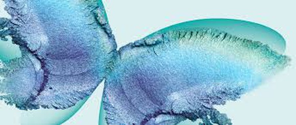 Makeup made into a butterfly shape.