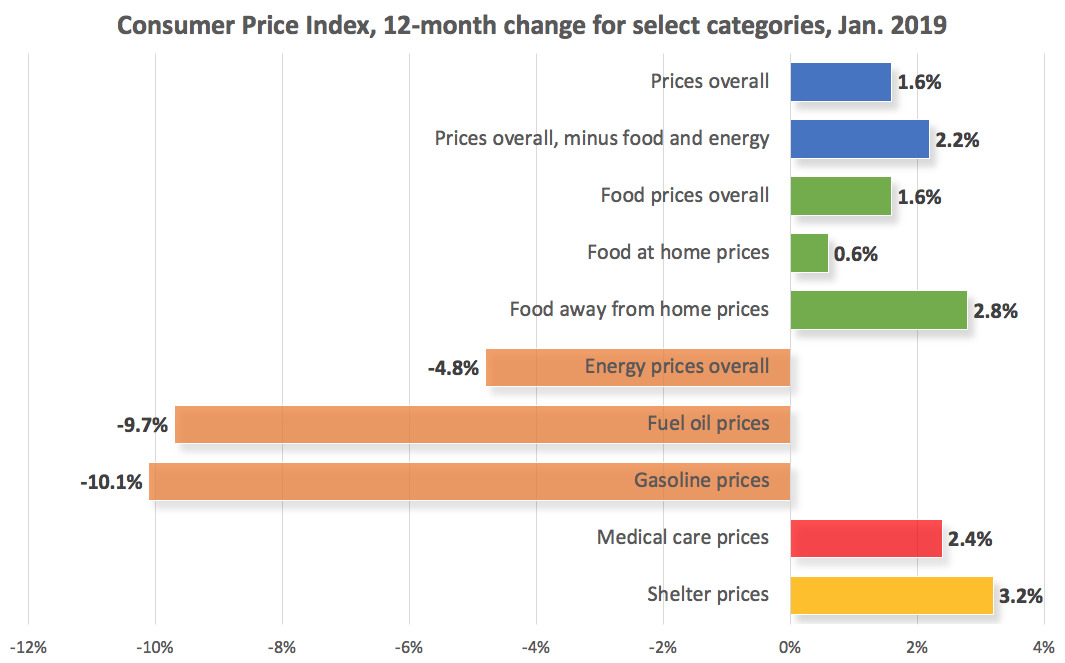 Consumer Price Index, 12-month change for select categories, January 2019, not seasonally adjusted