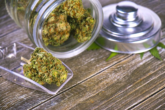 Dried cannabis in a glass container, with a scoop and lid on a wood table.