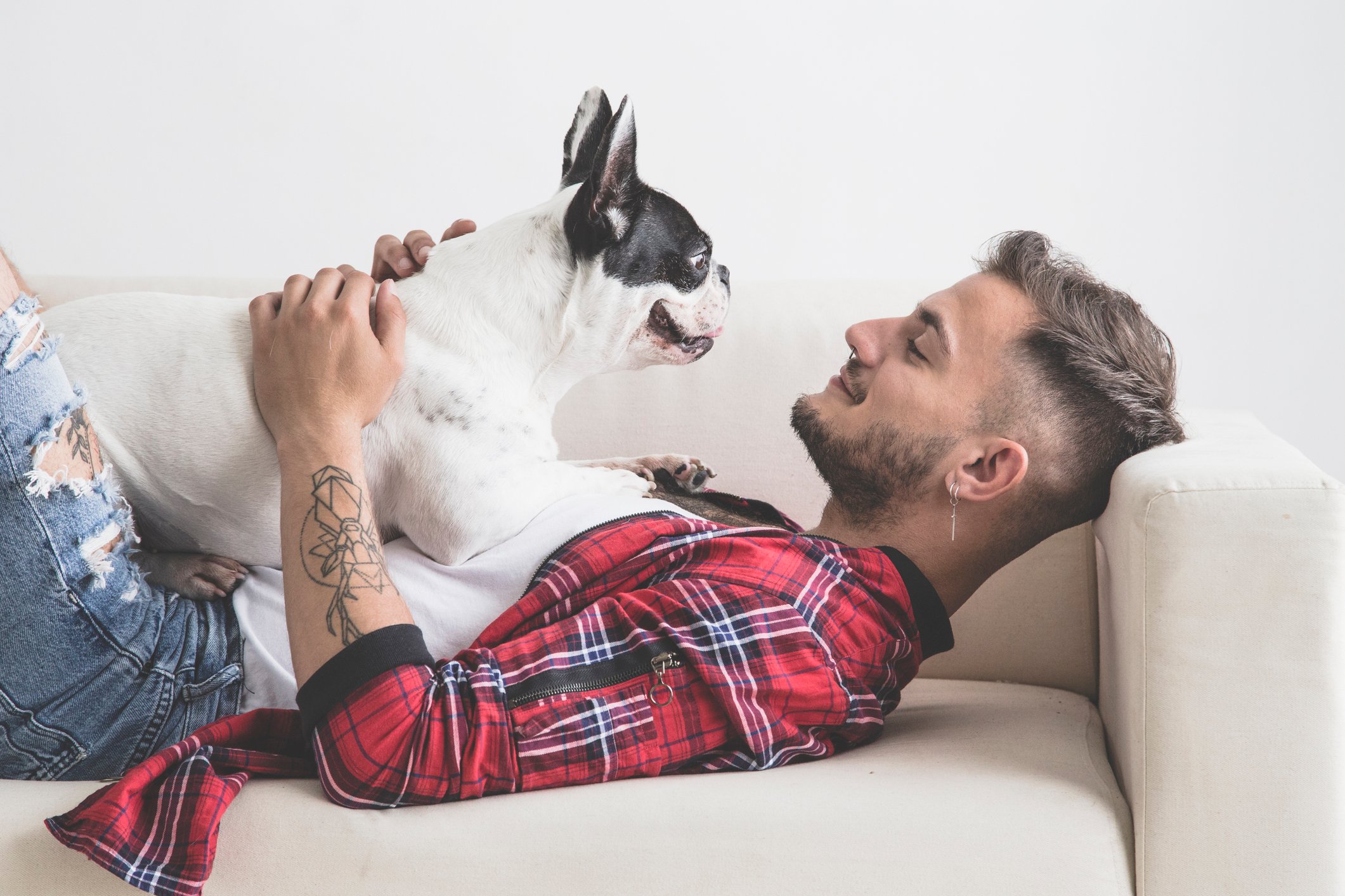 Young man lying on couch, smiling at French bulldog lying on top of him.