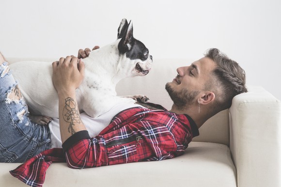 Young man lying on couch, smiling at French bulldog lying on top of him.