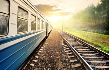 Train moving through the pine forest at sunset.