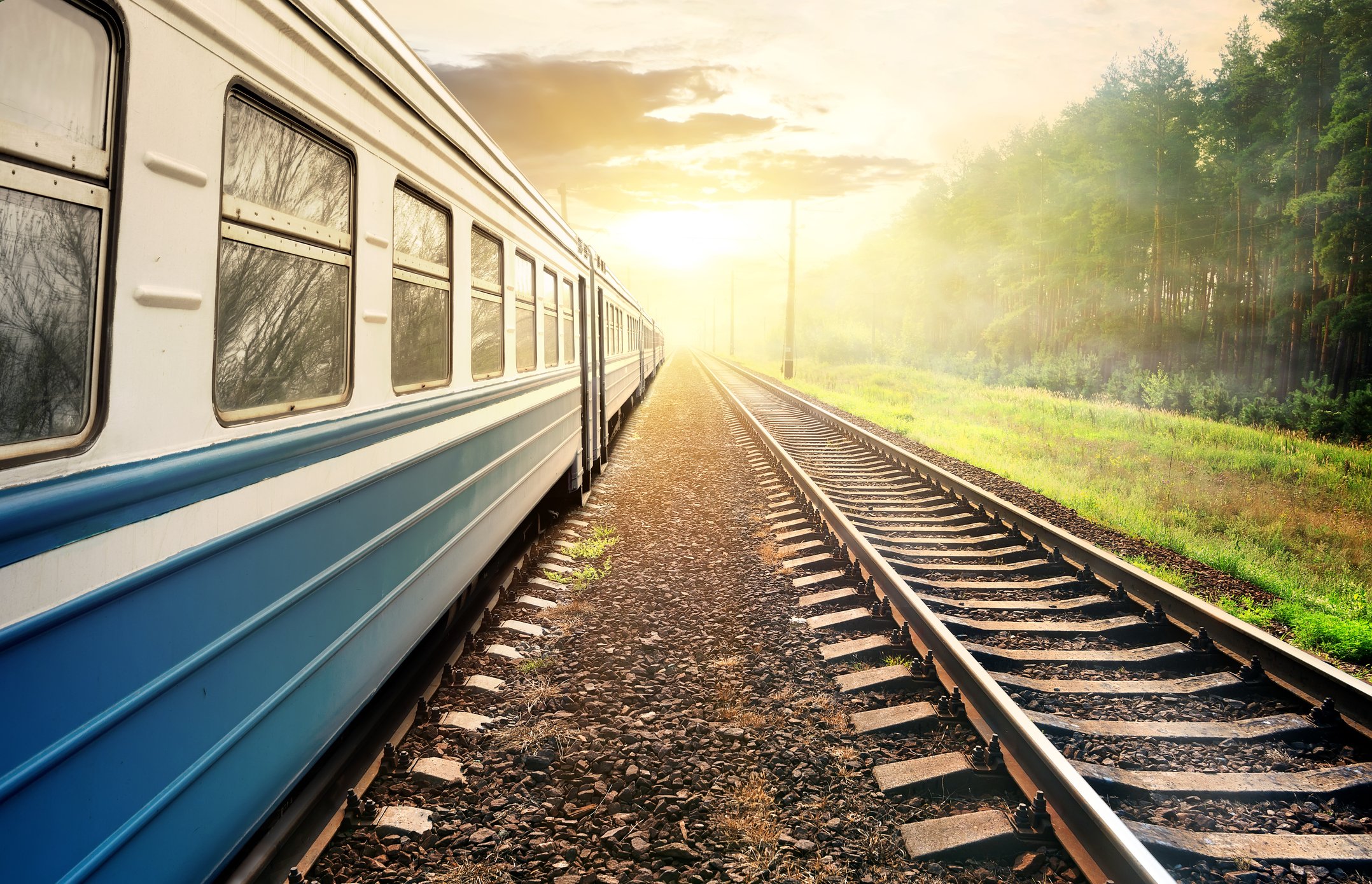 A train moving through a forest at sunset.