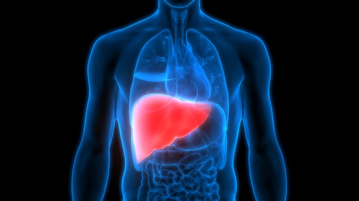 Image of human body organs with liver shown in red.