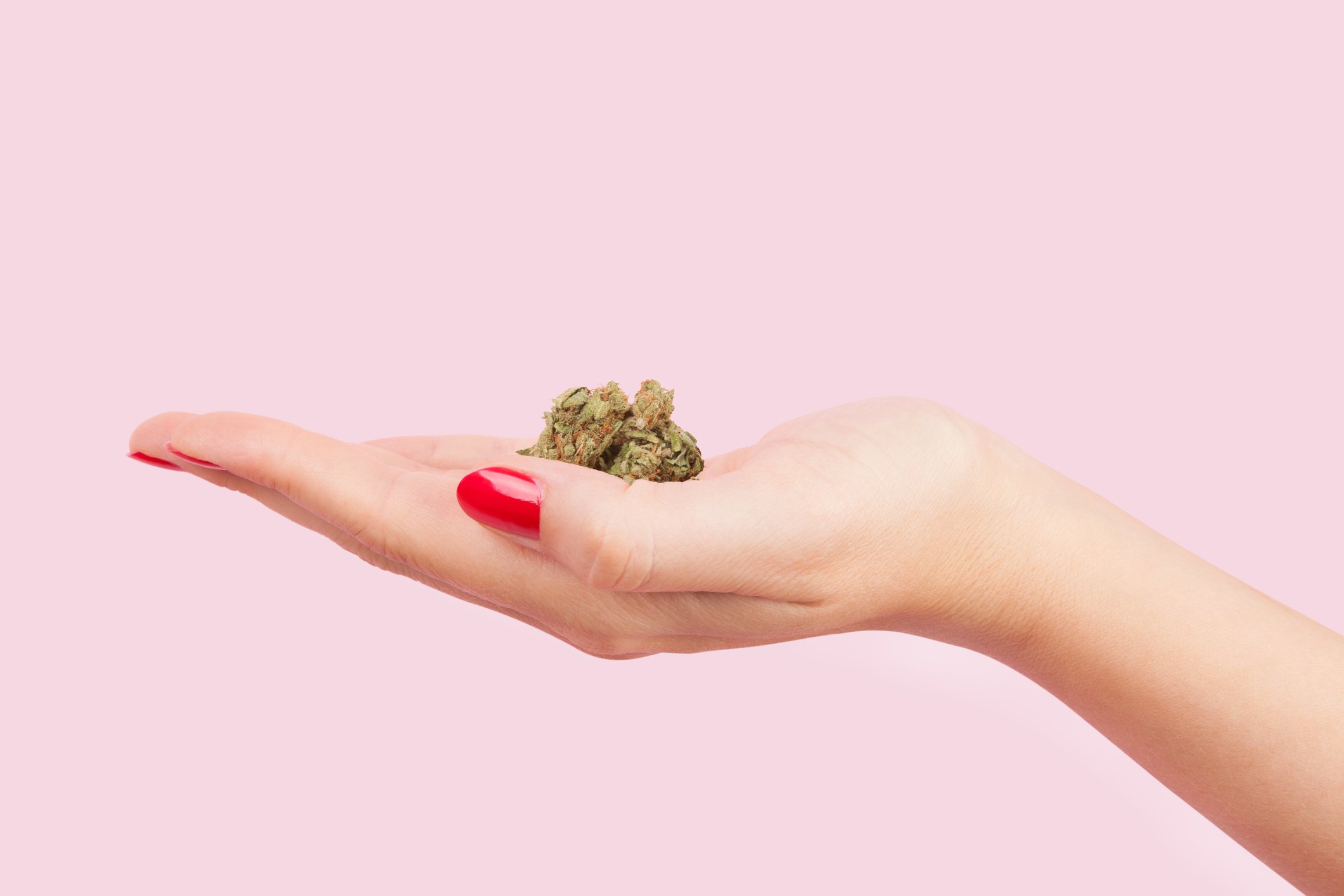 Woman's hand holding marijuana buds