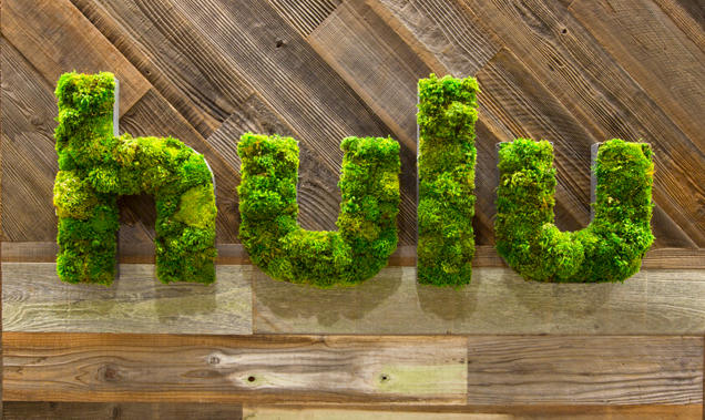 Hulu's logo built out of succulent plants