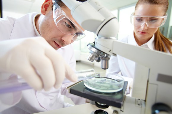 A male and a female scientist looking at a petri dish under a microscope