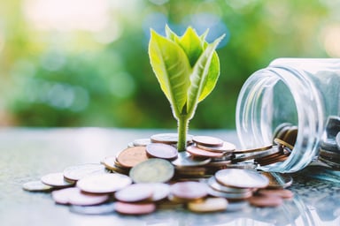 Plant Growing From Coins