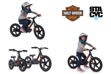 880-harley-davidson