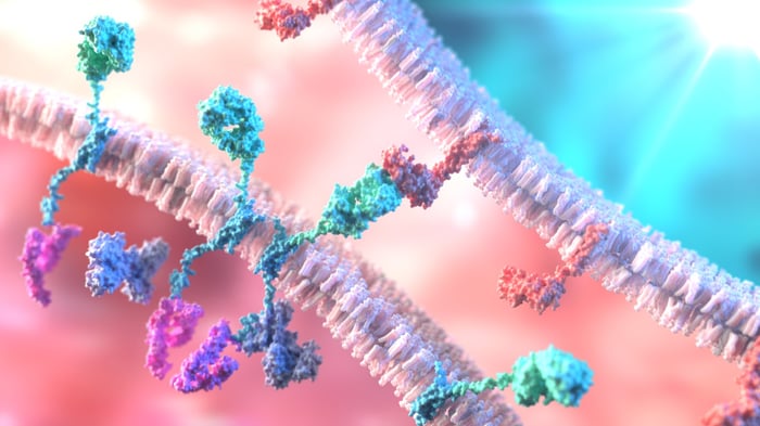 DNA binding together at a base pair.