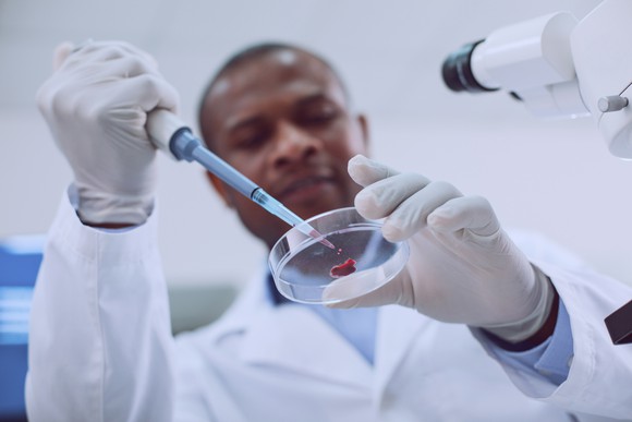 Male scientist with blood sample in petri dish