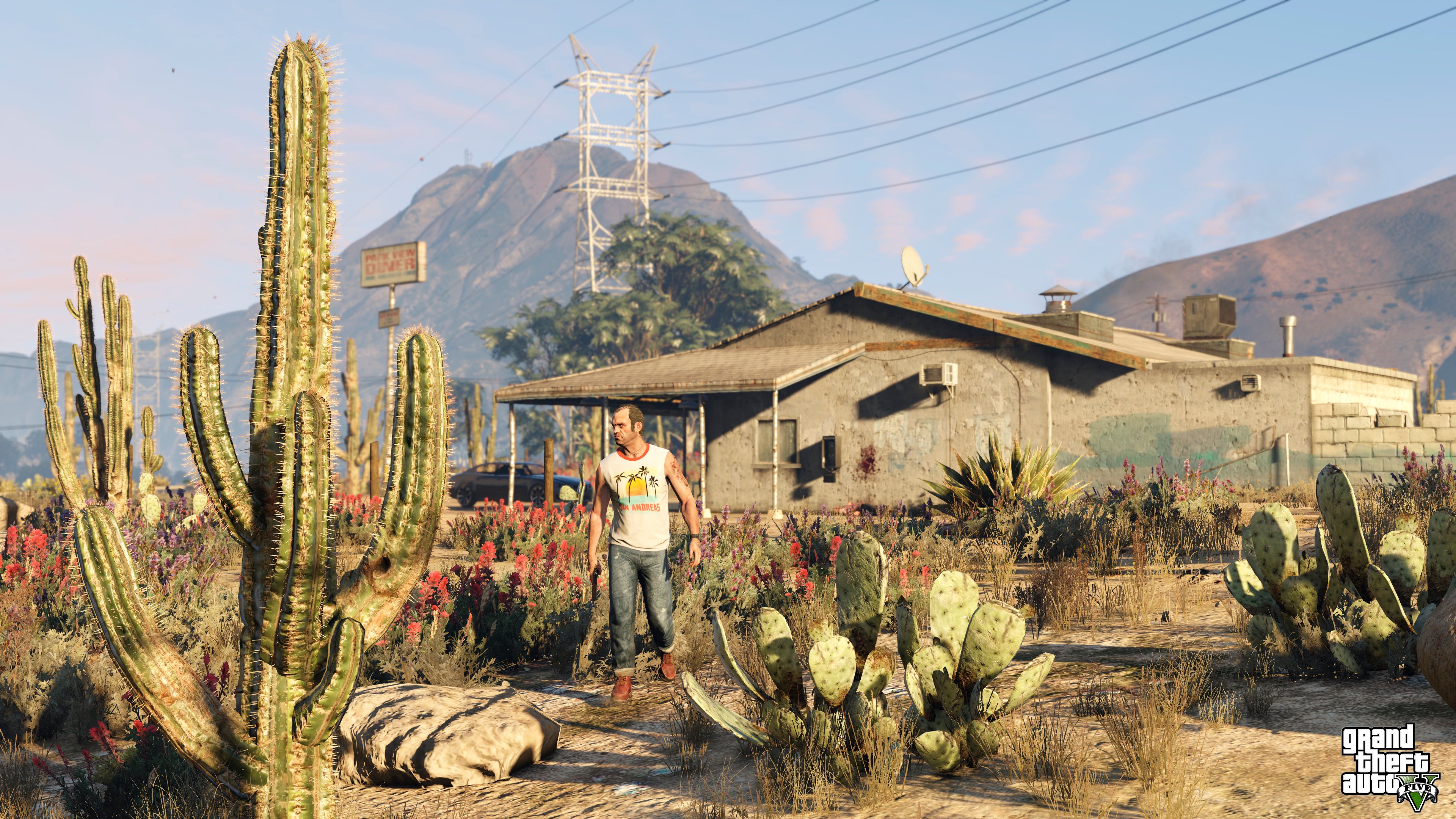 A character from "Grand Theft Auto V" standing in front of a small house and surrounded by plants.