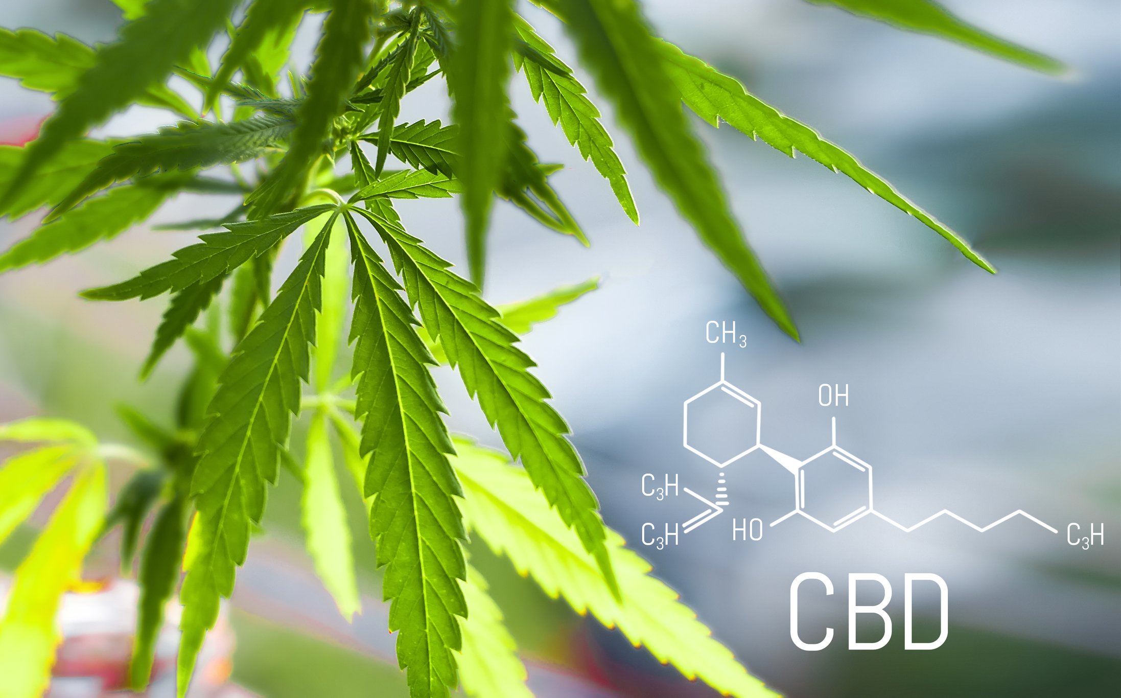 Cannabis and CBD chemical structure