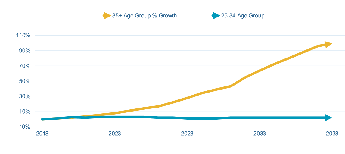 Chart of older population growth over next 20 years.