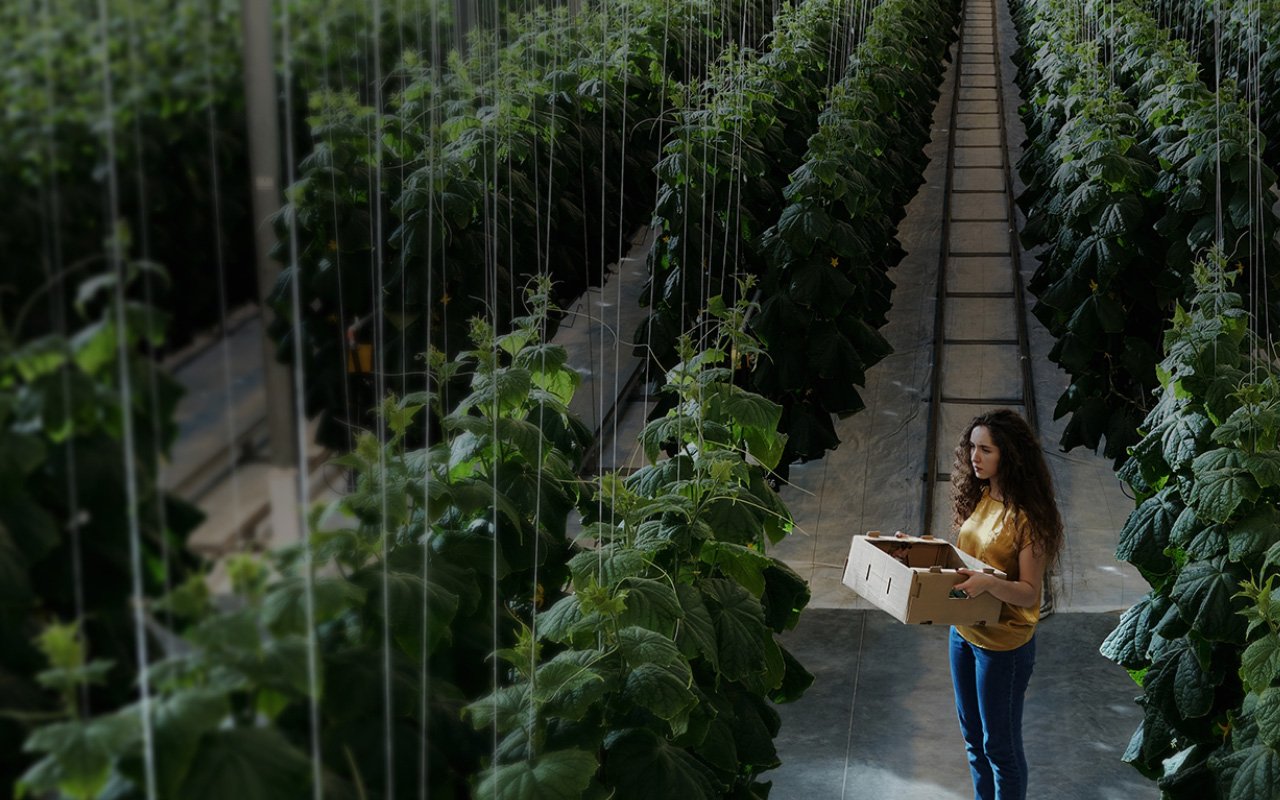 A woman in a room full of plants.