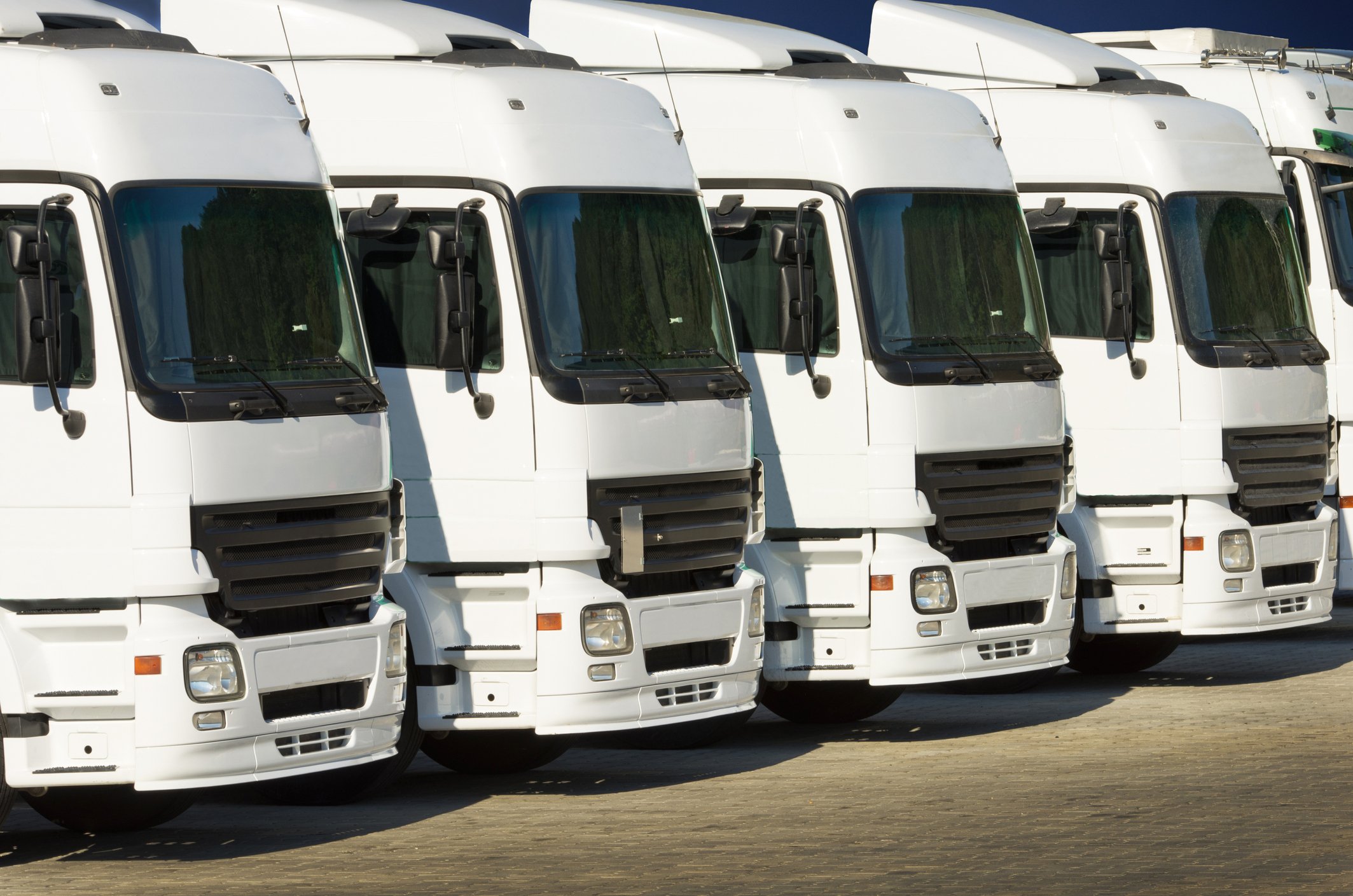 A row of white commercial heavy trucks parked side by side.