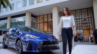 BITAcarmodel