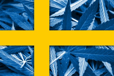 Sweden flag on cannabis background