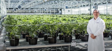 HEXO greenhouse