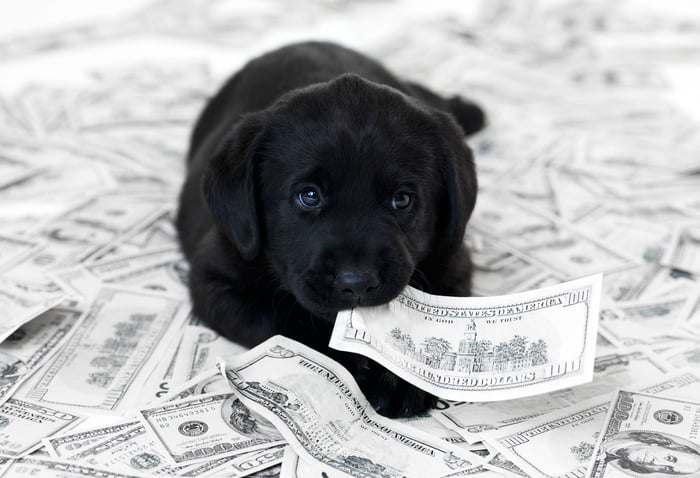 Dog on a pile of money with a $100 bill in his mouth.