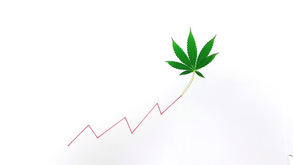 Marijuana leaf atop a rising stock chart