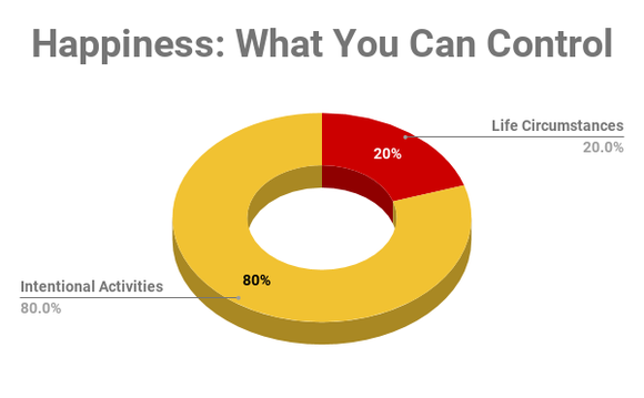 Chart showing factors you can control that affect happiness