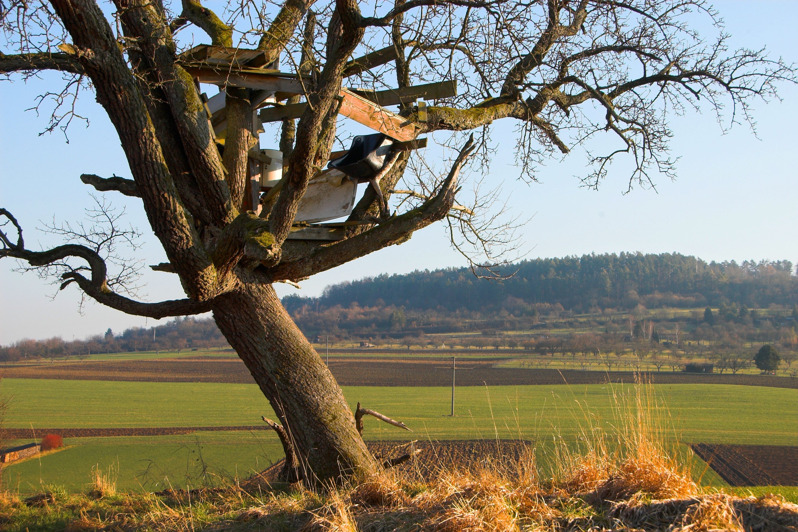 A rickety treehouse in a green field.