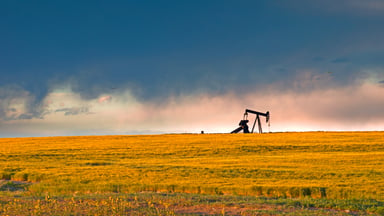 Oil pumpjack