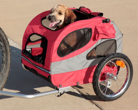 Pet trailer a with dog in it attached to a bicycle
