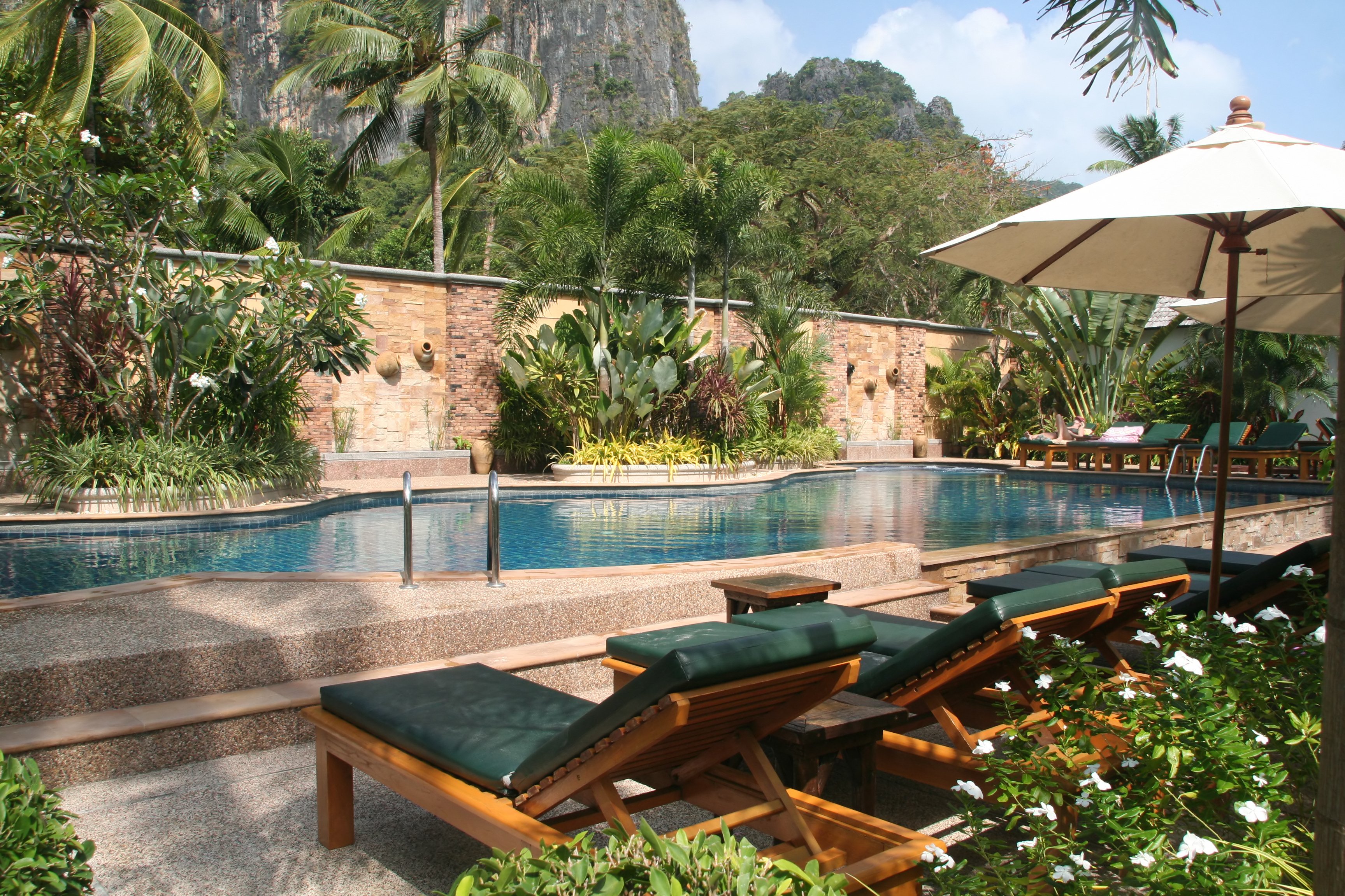 A plush backyard swimming pool with exotic plants and palm trees.