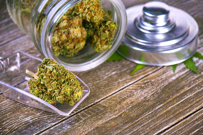 Marijuana in a jar on a table, next to a scoop with a marijuana bud on it