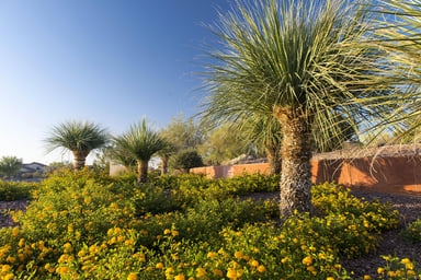 landscaping (from BV)