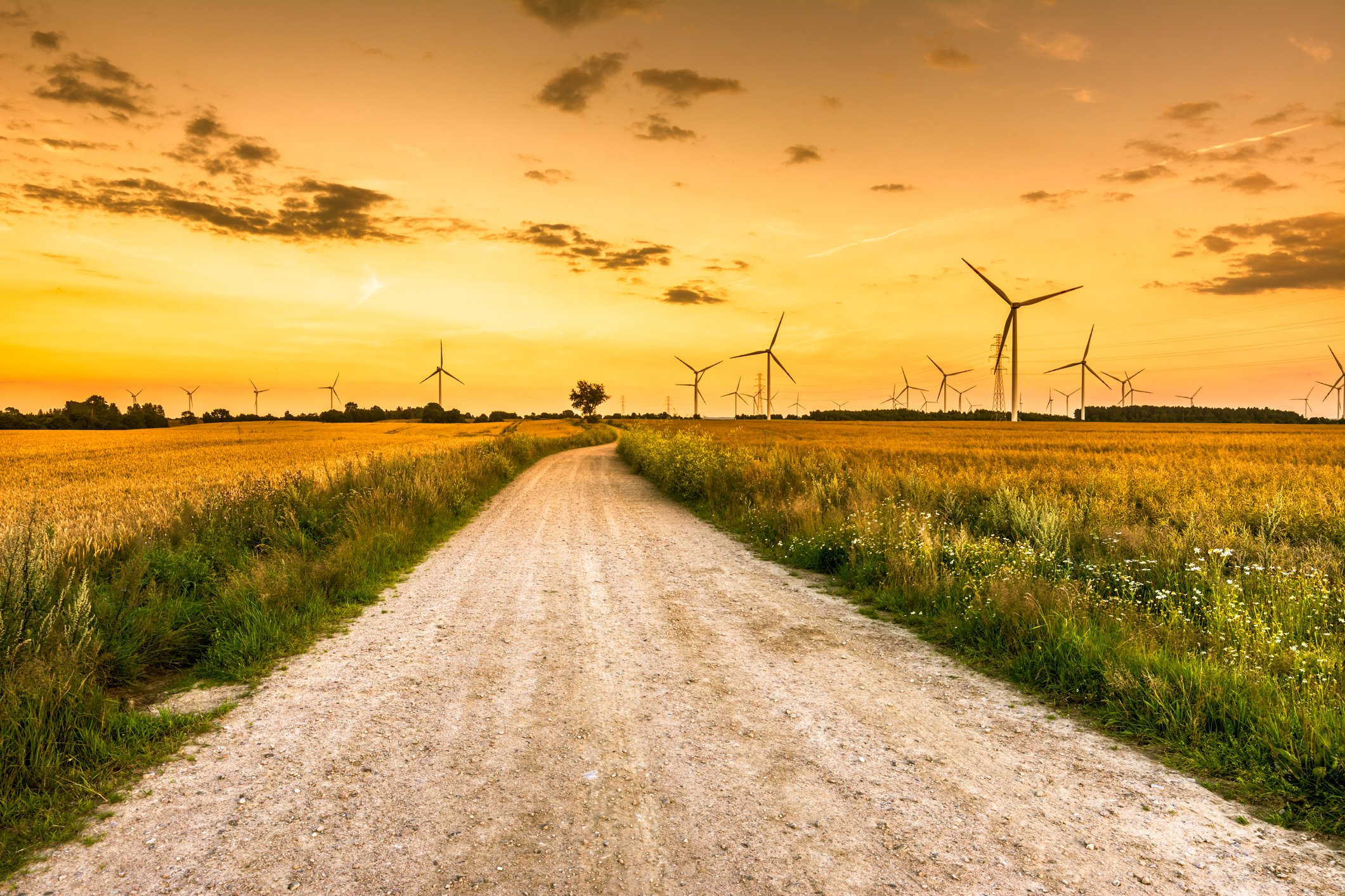 A road heading towards wind turbines in a field.