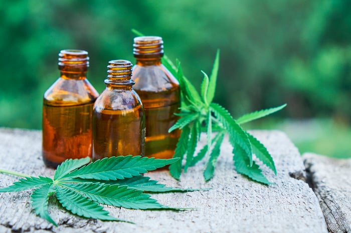 Three canisters of CBD oil next to cannabis leaves.