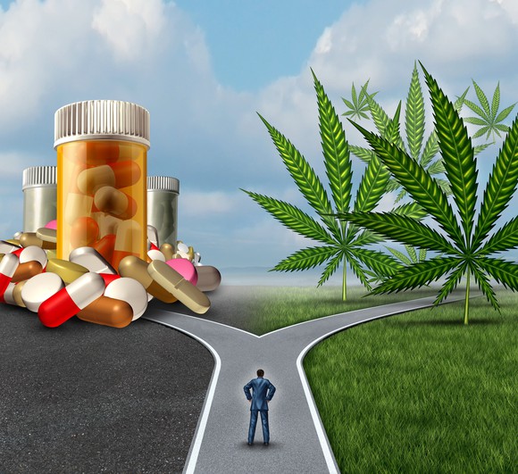 A businessman standing at a fork in the road, with the left side leading to prescription pills, and the right side leading to cannabis leaves.