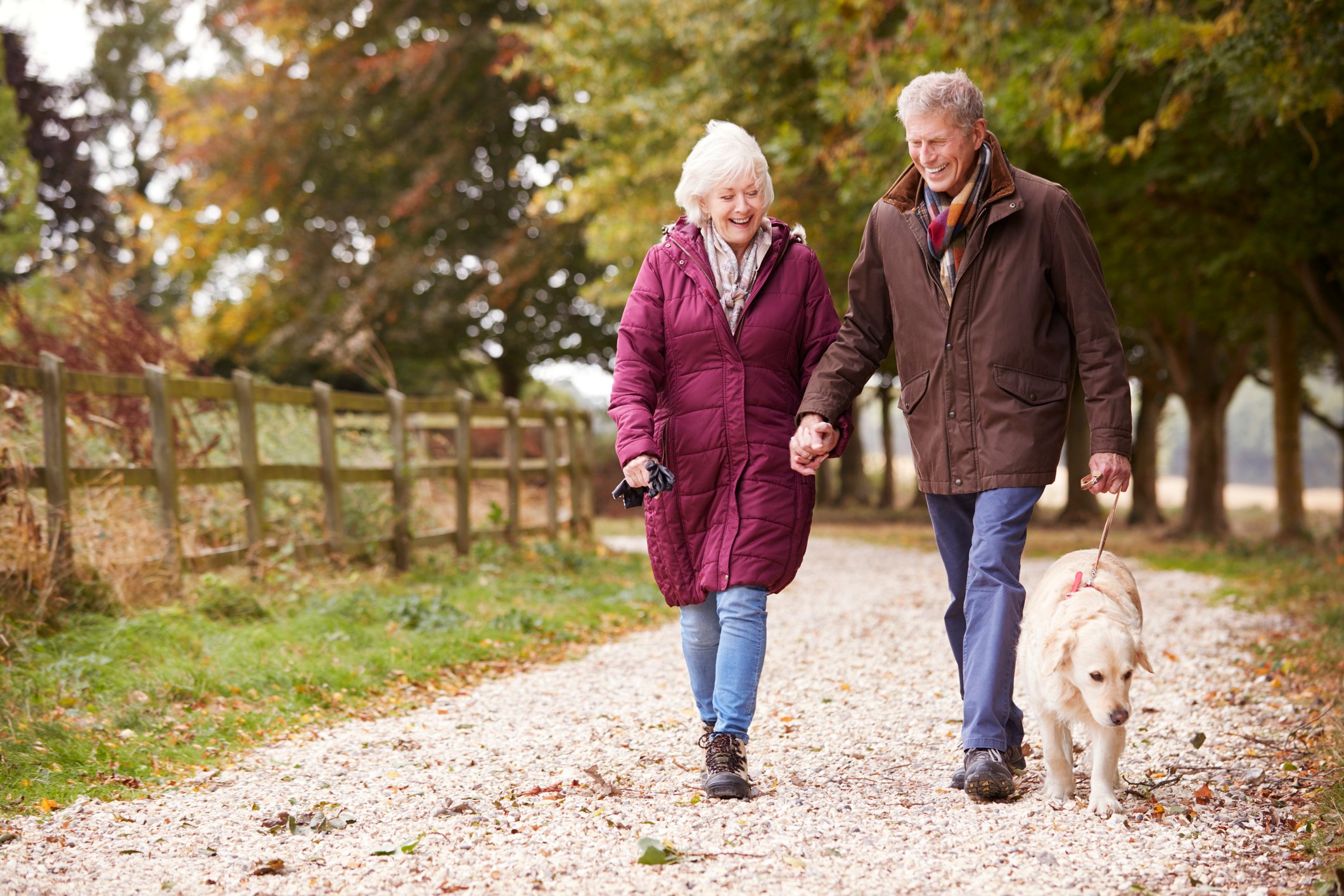 Senior couple in coats walking a dog outside.