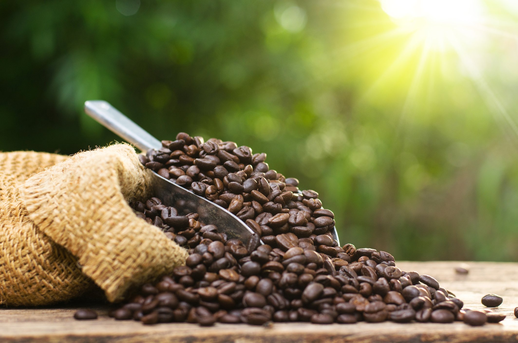 Roasted Coffee Spilling Out of a Sack