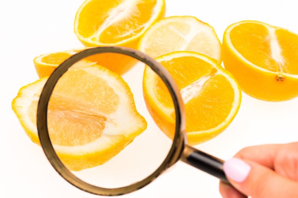 Lemon halves under a magnifying glass.