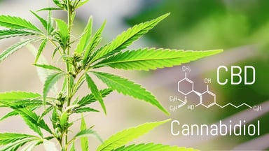 Cannabis with CBD chemical structure