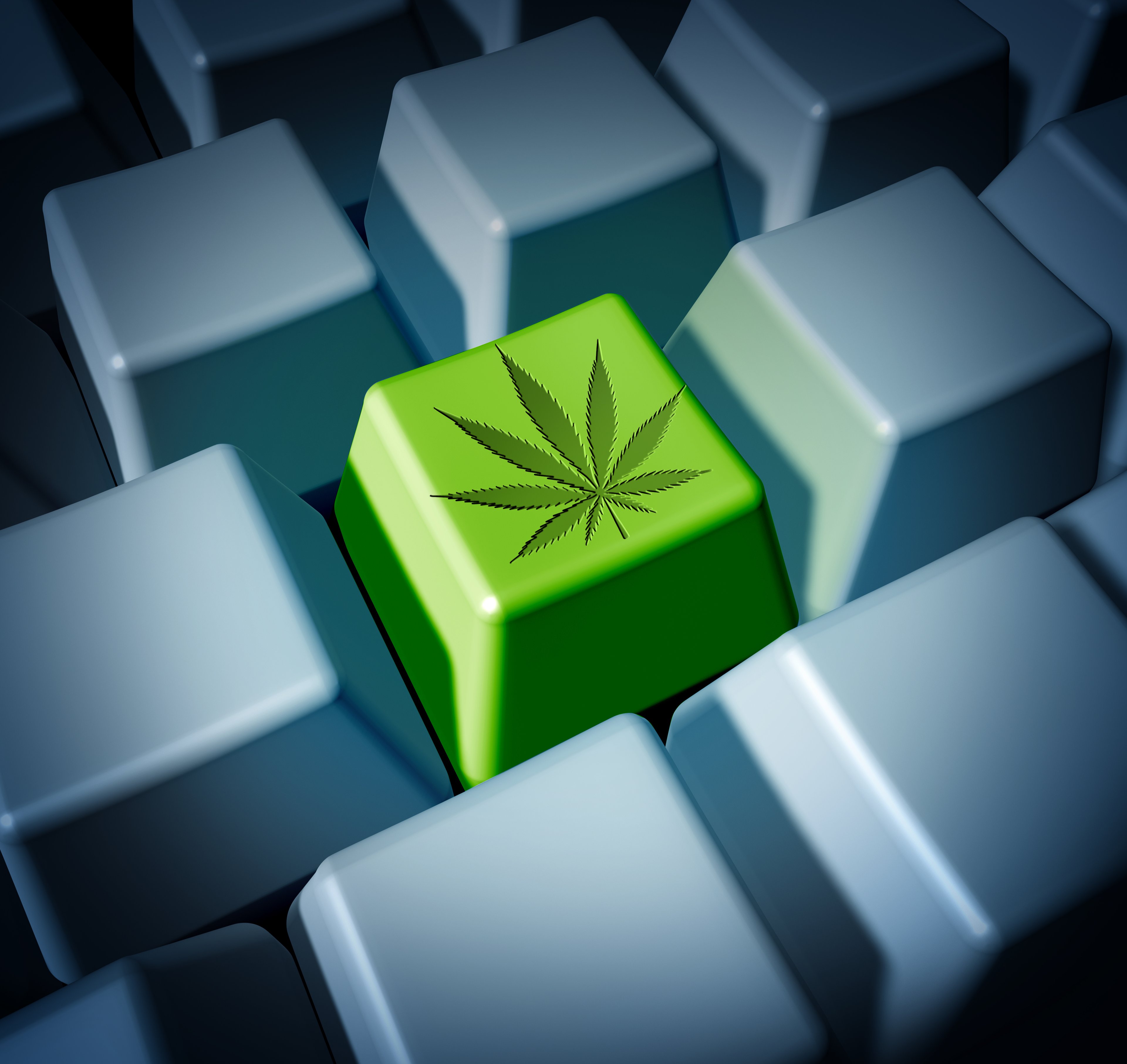 A cannabis leaf on a keyboard.