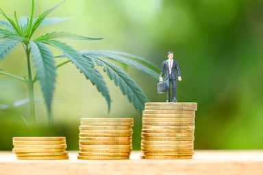 Cannabis marijuana three stacks of coins